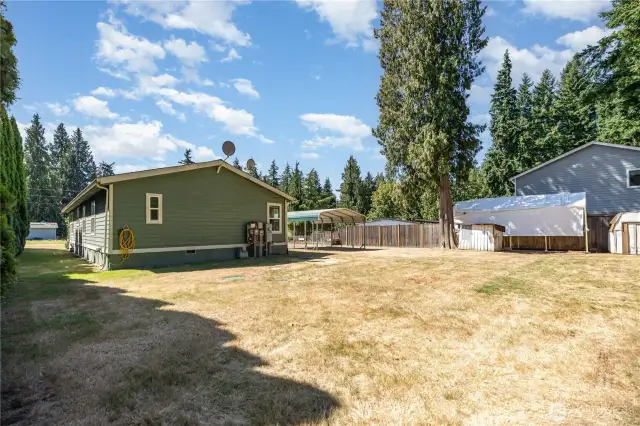 Backyard features large grassy area with mature trees lining the property, with room for gardening & entertaining.