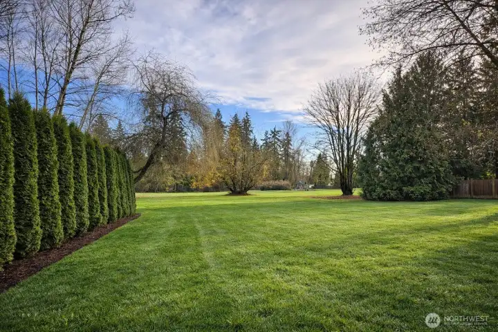 Community Park with Playground