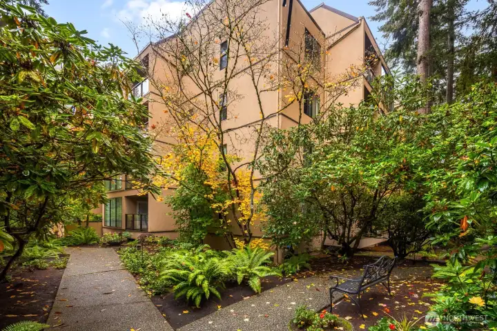 Exterior view of the St. Moritz A Building nestled among tall cedars and autumn color.