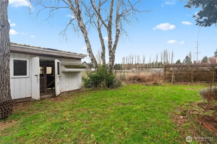 chicken coop & fruit trees
