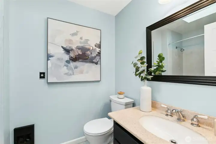 Hall bath has a lovely skylight bringing loads of light !