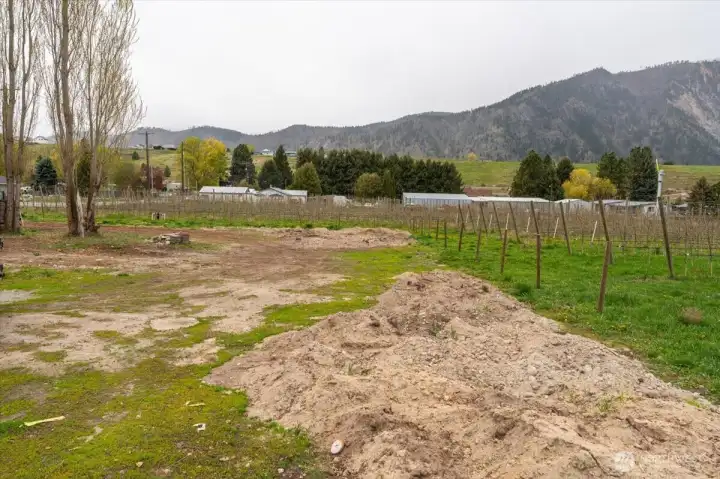 Views of backyard and surrounding area