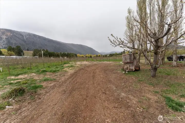 Views of backyard and surrounding area