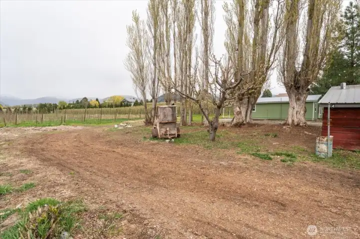 Views of backyard and surrounding area