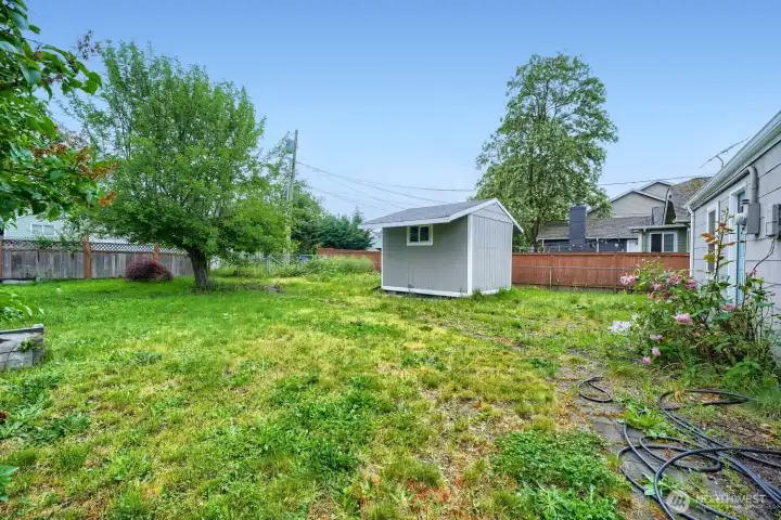Shed located in the backyard