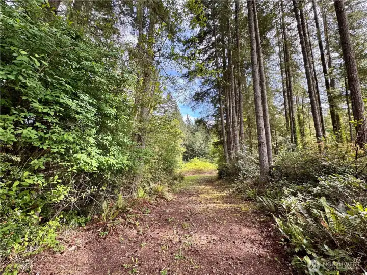 Build your dream home, just a bit North of Bangor.
