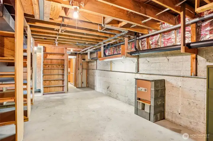 More shelves in basement storage room.