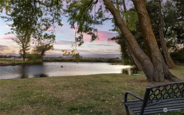 Relax by the pond and enjoy