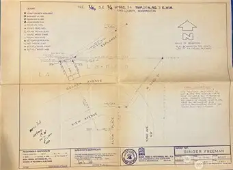 1981 Survey