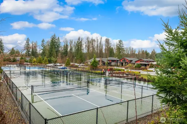 Pickleball Courts