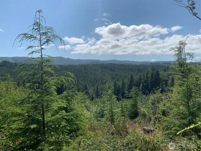 view from neighboring property