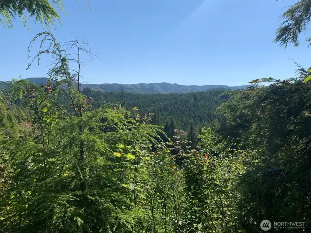 view from edge of property