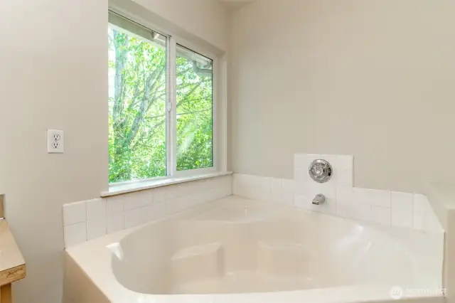 Primary Bathroom Tub