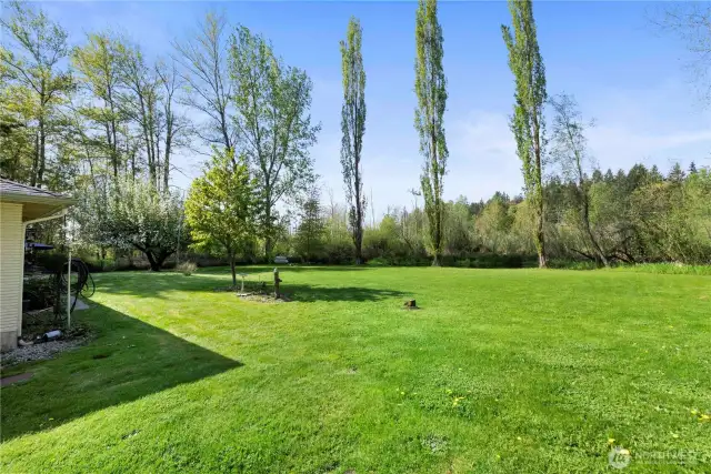 Back yard built up and reseeded a few years ago