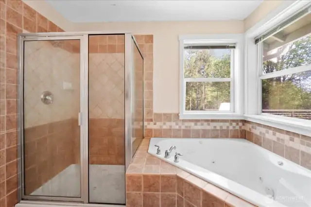 Primary shower and jetted tub!