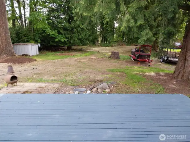 A backyard like a state park!