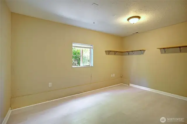 Lower Level Flex Extra finished Room