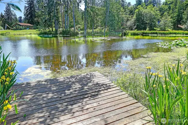 Lake View
