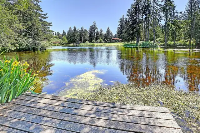 Lake View