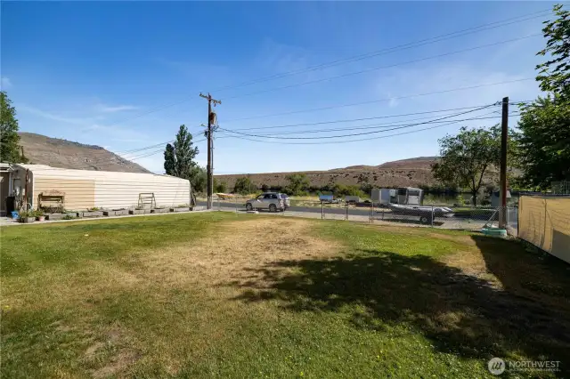 back yard