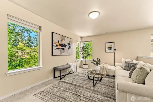 LARGE ENTERTAINMENT AREA - UPSTAIRS