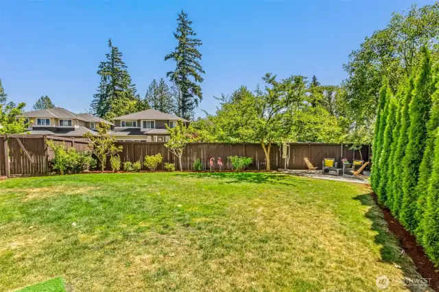 HUGE PRIVATE BACKYARD
