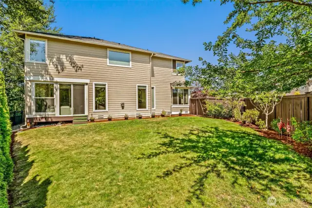 SOUTHERLY BACKYARD