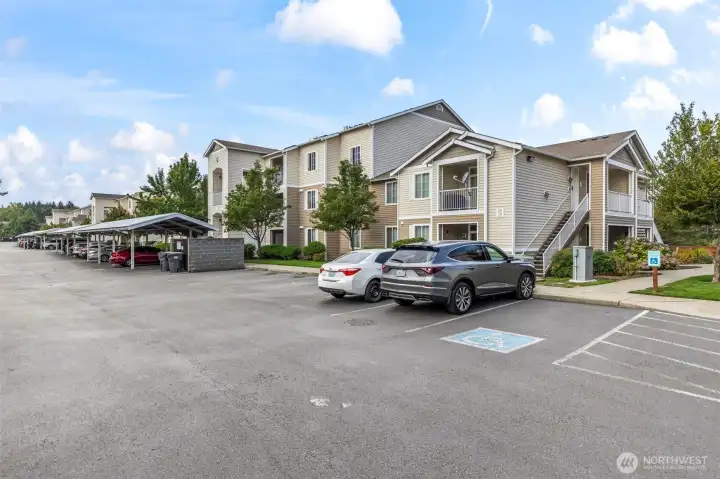 Ample parking options - covered carports, open spaces.  This is your building as seen from the street, and the sidewalk leading to it!