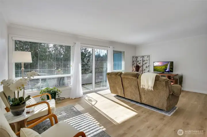 Light filled living room