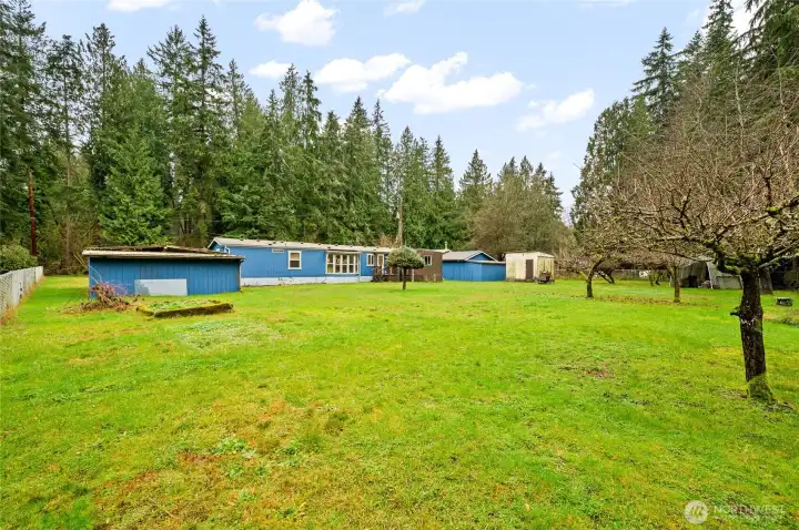 Back of Home-Huge Backyard!