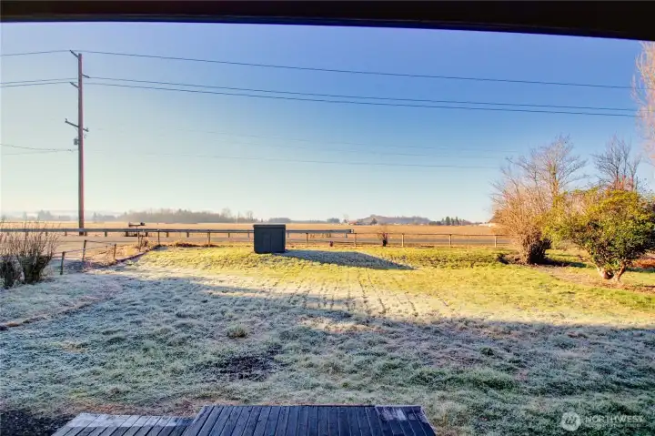 Back yard and Well house
