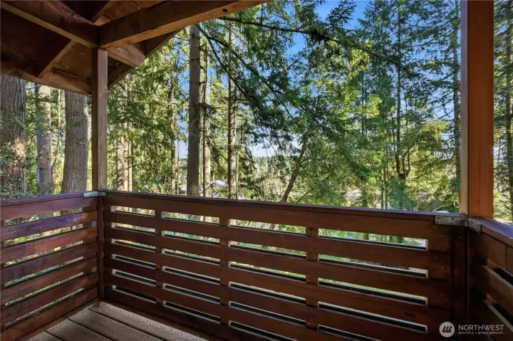 Deck off of primary bedroom