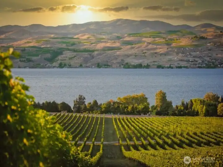 Chelan and Manson offer 30+ amazing winery and tasting room options