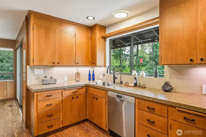 Granite counters, stainless steel dishwasher, and under cabinet lighting
