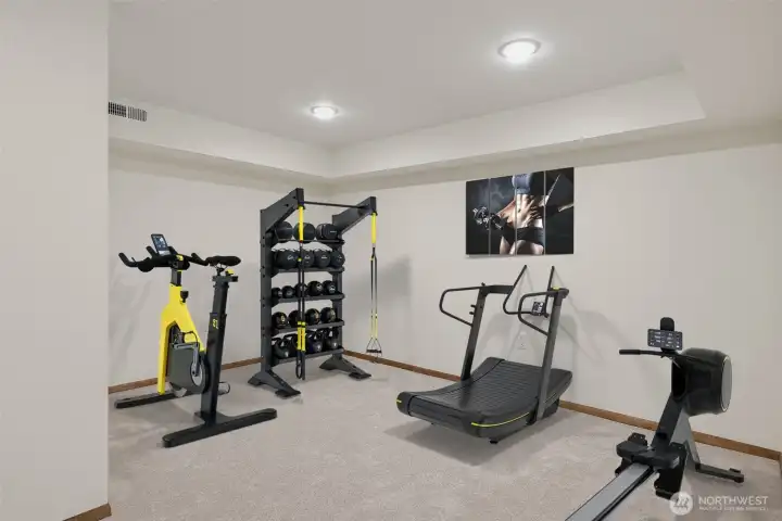 Downstairs Bonus Room   Virtually Staged
