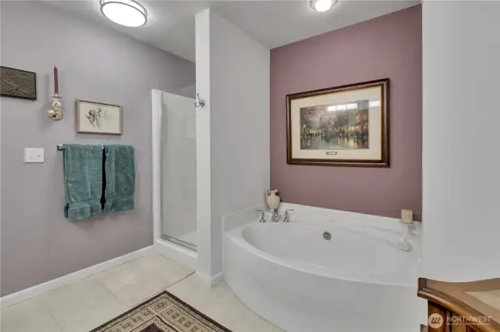 Soaking Tub and Shower Primary Bath Soaking Tub and Shower Primary Bath
