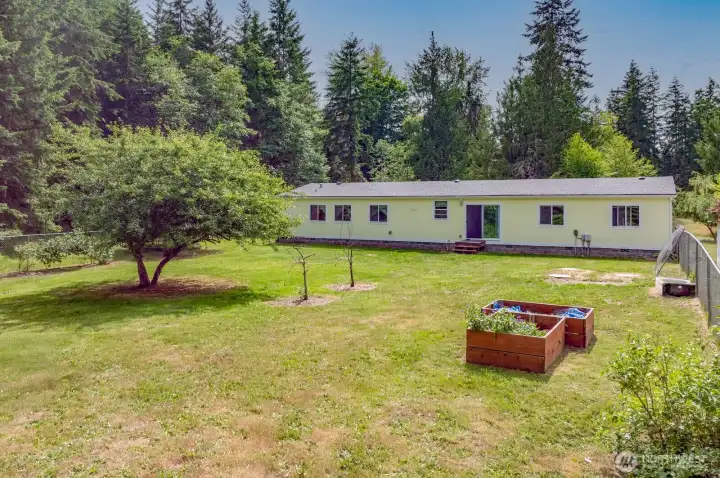 Large fenced backyard with raspberries, blackberries, and fruit trees Large fenced backyard with raspberries, blackberries, and fruit trees