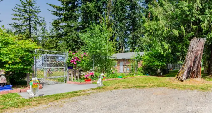 Double entry and a 6 foot fence around the front yard. The dog areas in the back have a 8 foot fence around them. There are 4 fenced in areas for the boarding dogs. The building has a large grooming room, 6 living room style boarding rooms and each one has a unique theme, TV and separate heating. Double entry and a 6 foot fence around the front yard. The dog areas in the back have a 8 foot fence around them. There are 4 fenced in areas for the boarding dogs. The building has a large grooming room, 6 living room style boarding rooms and each one has a unique theme, TV and separate heating.