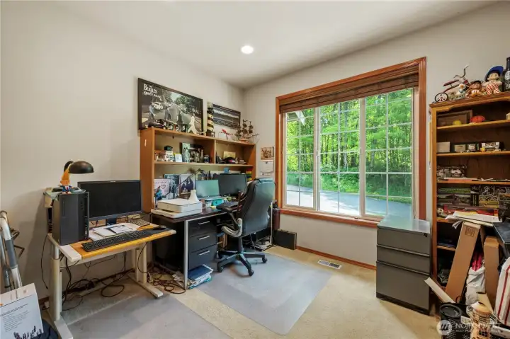Office on the main floor obviously has space for working and displaying your collections.