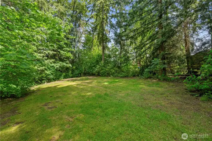 This clearing is perfect for soccer practice or camping out.