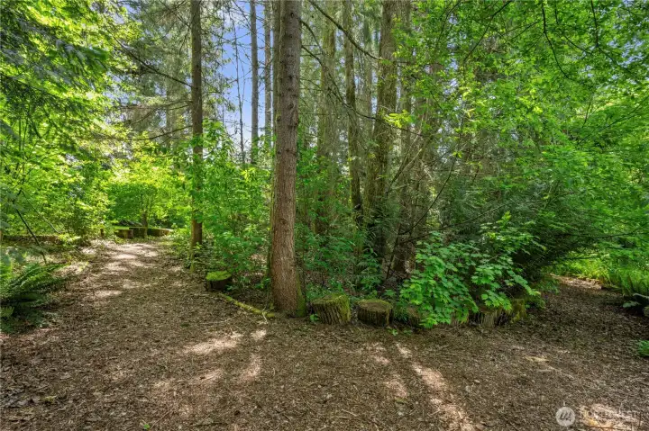 Trails through the woods are perfect for exploring, climbing, taking a break for those working from home...