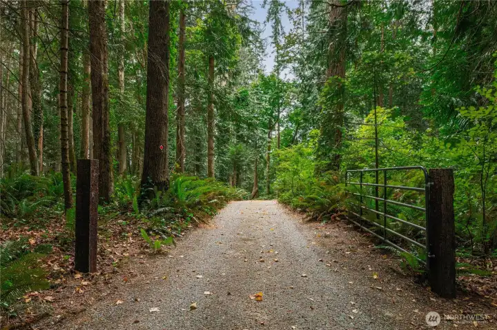 The shared (1 neighbor) driveway to the house.