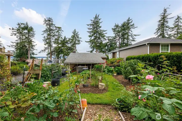 Mature gardens has produced years of vegetables.