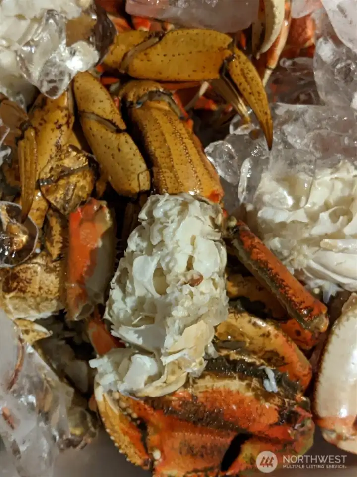 Catch Crab right from your own private beach!