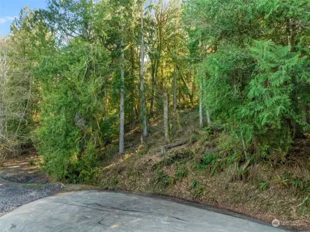 Come and explore this charming private road, offering a close-up glimpse of the nearby lake from the lot. Immerse yourself in the serene sights and sounds of the community.