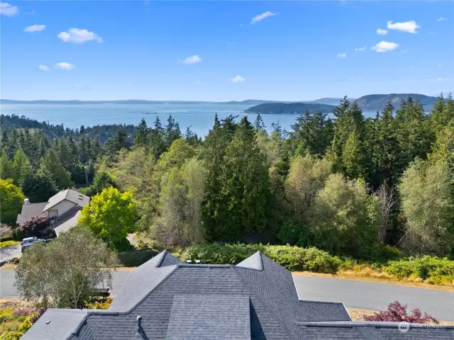 Drone shot showing the proximity to Puget Sound, Allan and Burrows Islands!