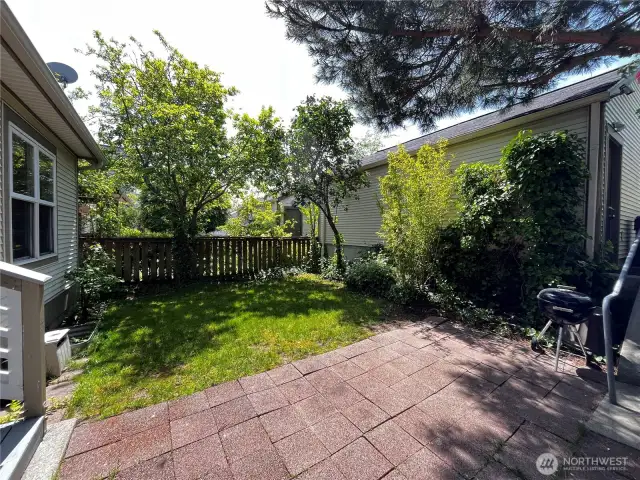 Lovely backyard