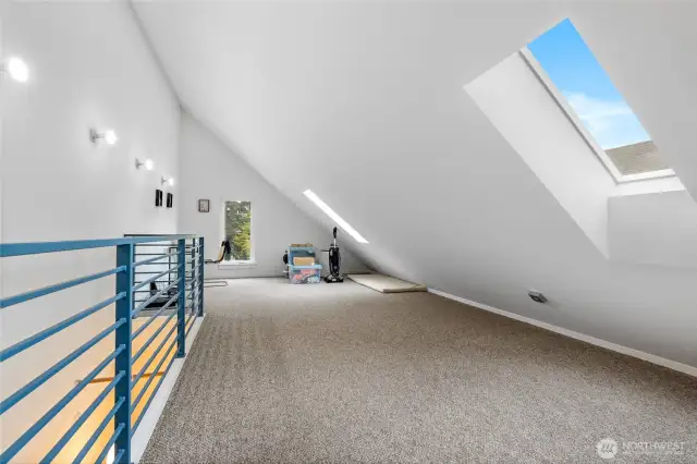 Plenty of extra room in the bonus loft! Skylights keep everything bright on those dark winter days.
