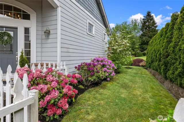 Love the picket fences and colorful shrubbery!!!