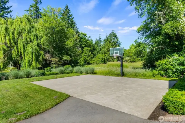 Versatile sport court ideal for basketball, pickleball, and more.